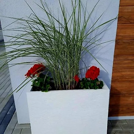 Viss Vendégház 3*