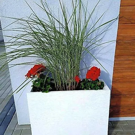 Viss Mielno (Koszalin)